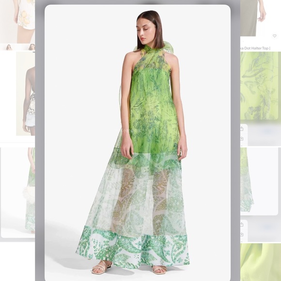 Rare STAUD Neem Printed Georgette Organza Sequined Hem Maxi Dress Unique - Picture 2 of 12